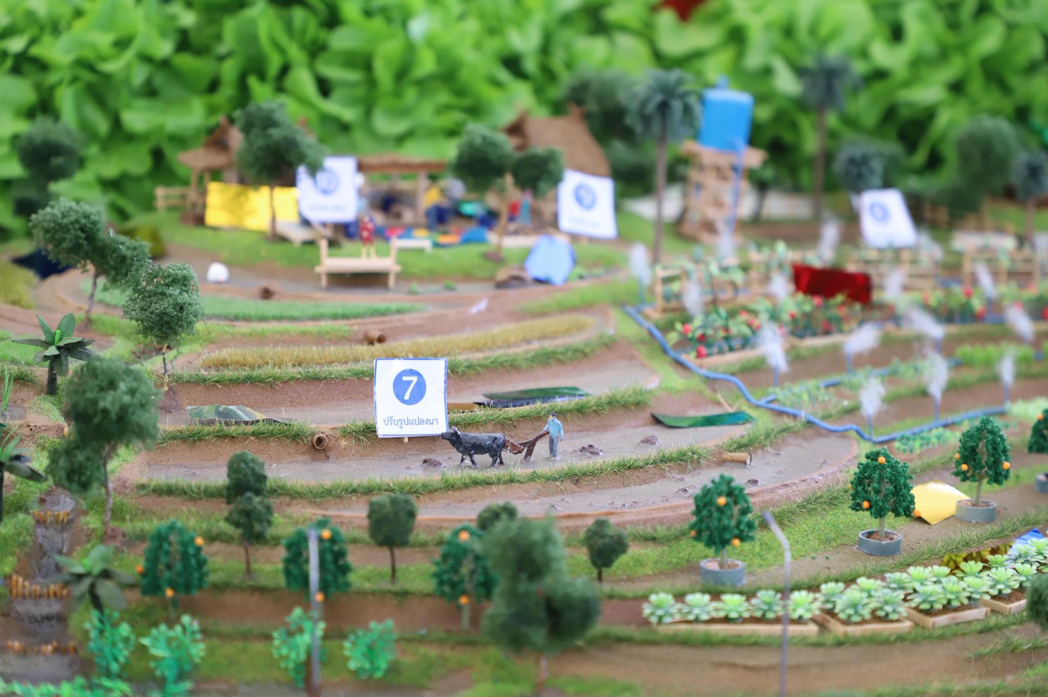 title - เลขาฯ ส.ป.ก. ร่วมงาน “ไถกลบ ตอซัง สร้างดินยั่งยืน ฟื้นสิ่งแวดล้อม”